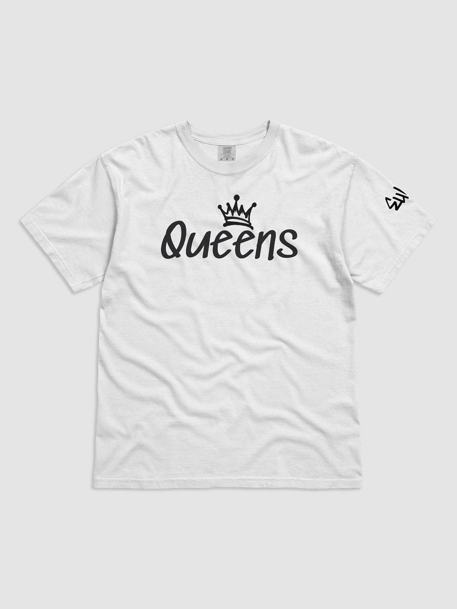 qns product image (1)