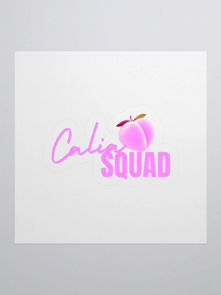 Squad Stickers product image (1)