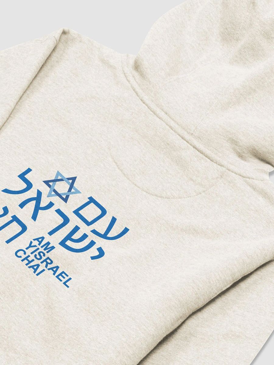 AM YISRAEL CHAI Premium Hoodie product image (5)