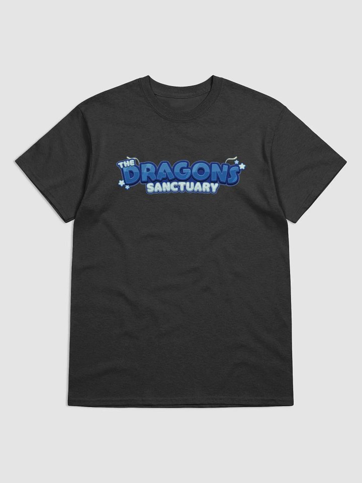The Dragon Sanctuary Community T-Shirt product image (3)