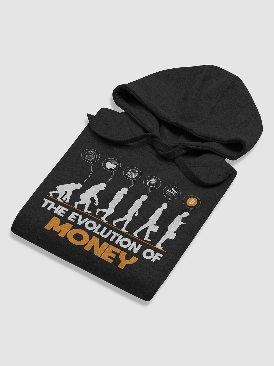EVOLUTION OF MONEY product image (6)