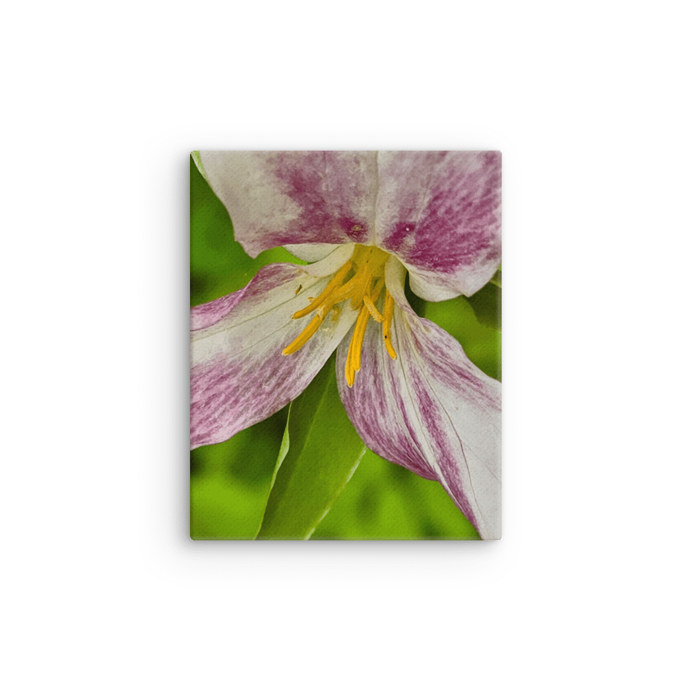 Burst of Color Canvas Art product image (9)