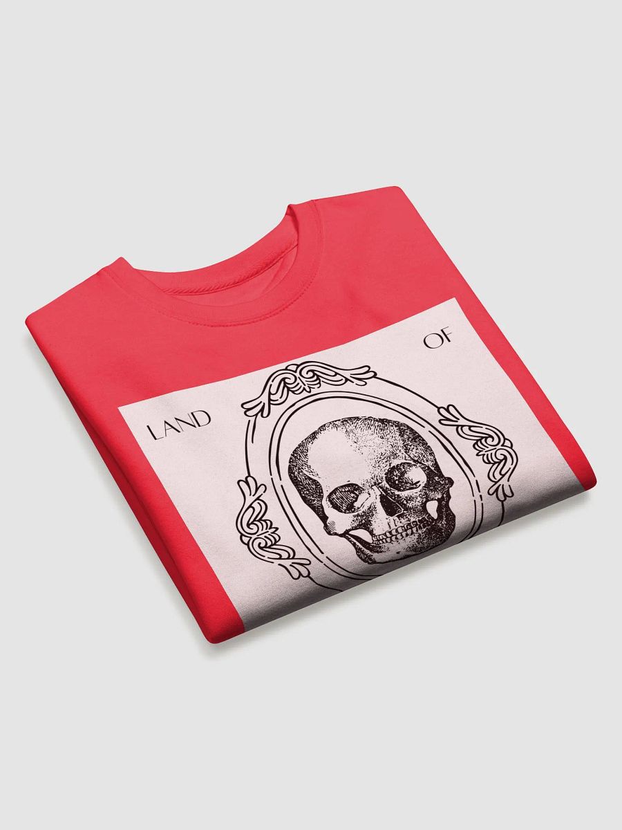 Land of the Fake Mirror Sweater product image (3)
