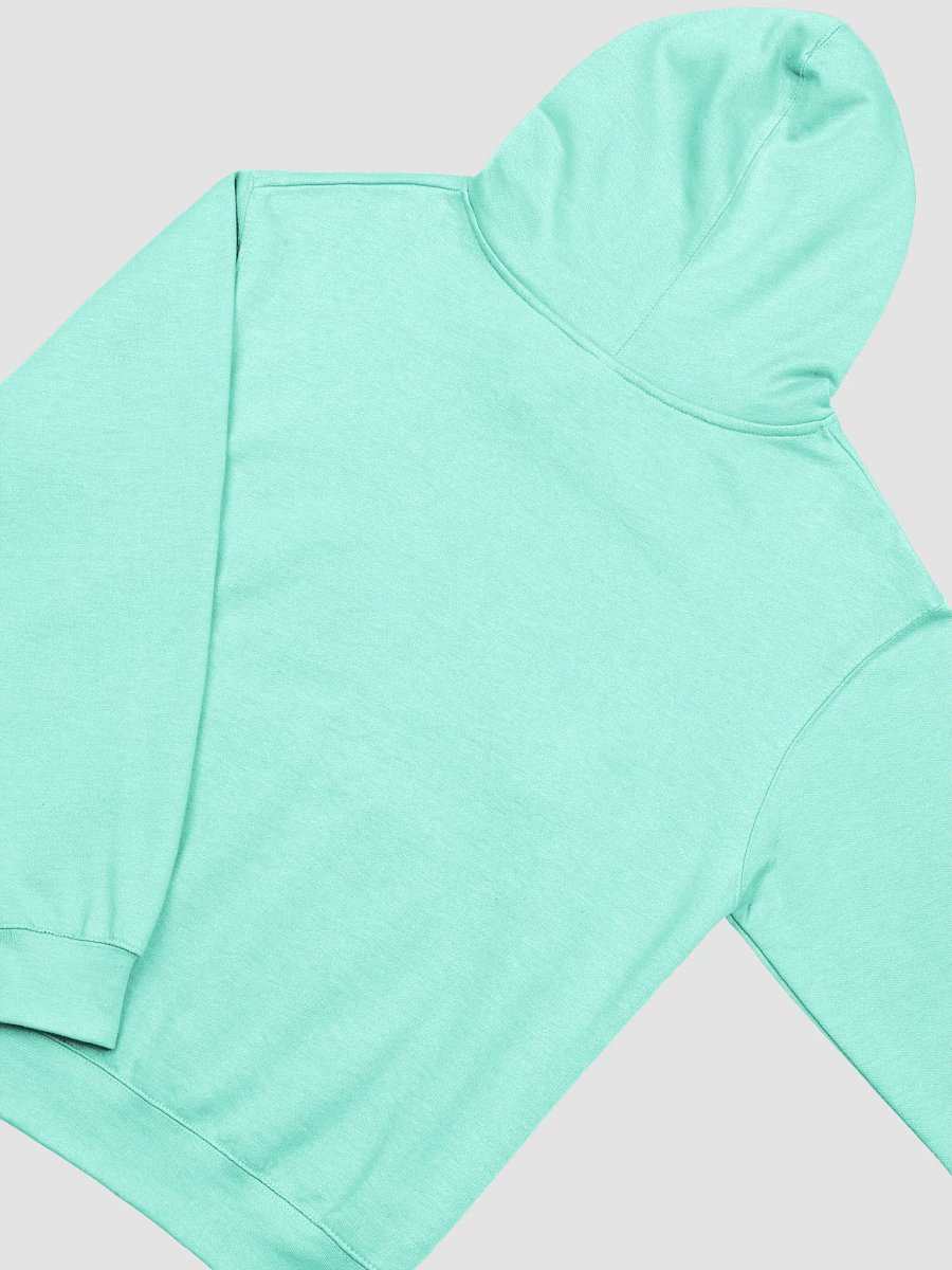 Hoodie Mateo 28:19 Vayan y Hagan Discípulos product image (4)