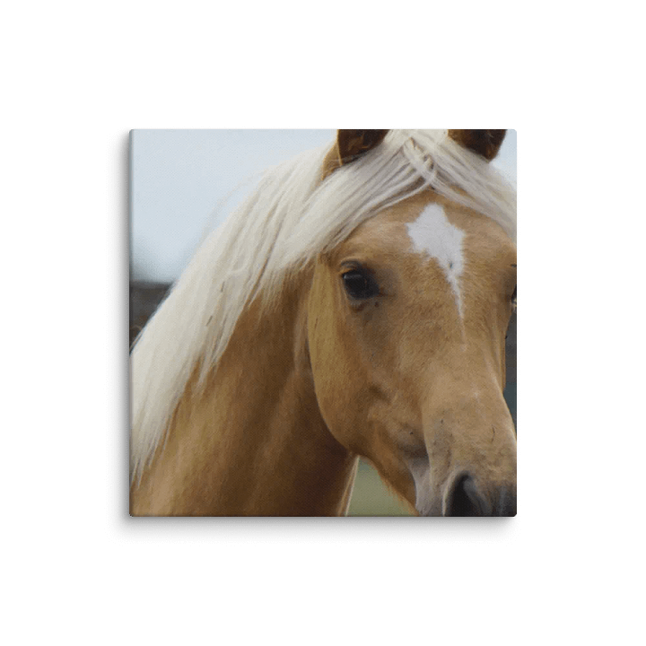 Horse Canvas product image (1)