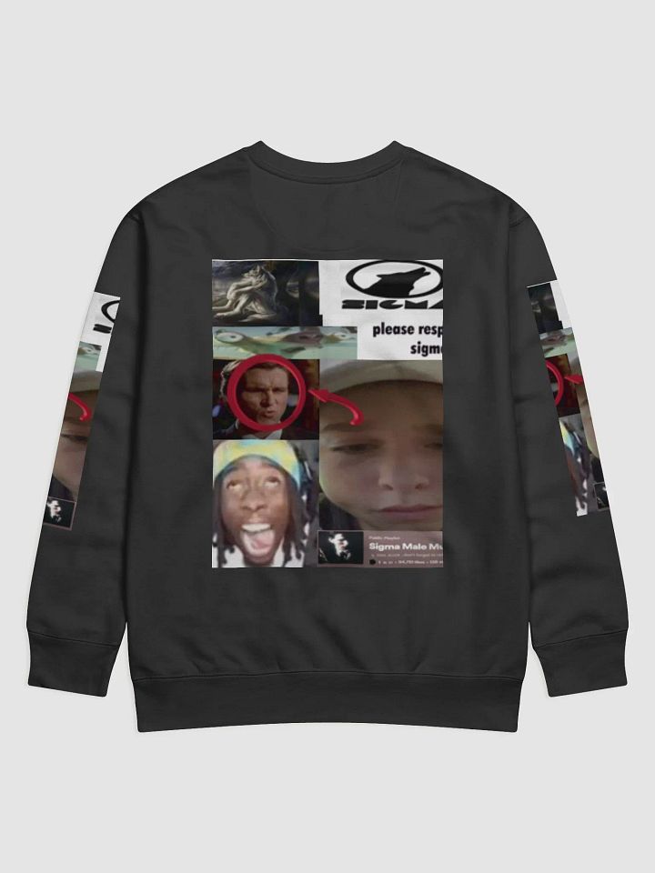 sigma male jumper product image (2)