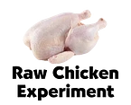 Raw Chicken Experiment