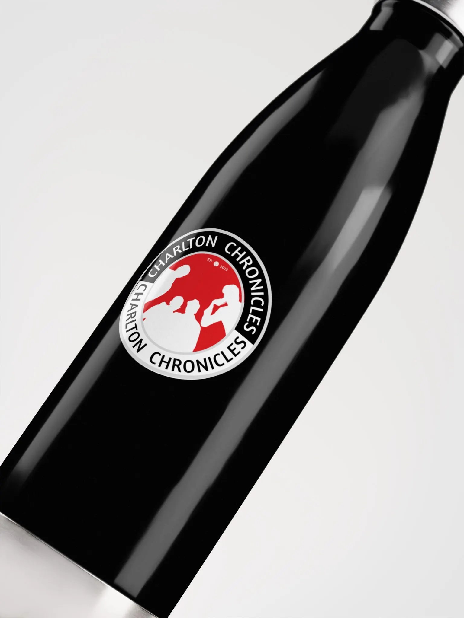 The Charlton Chronicles Stainless Steel Water Bottle product image (5)