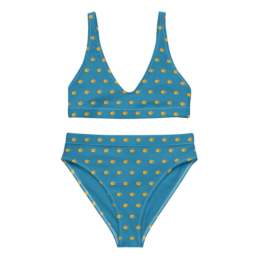 MSLA Subby Series - High Waisted Bikini product image (1)