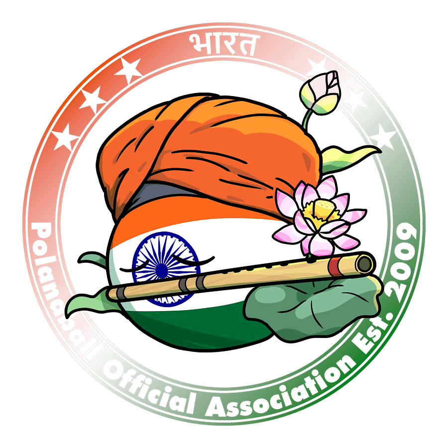 Polandball Official Association T-shirt - India product image (21)