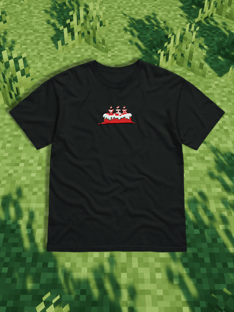 Embroidered "I'll Make a Cake" T-Shirt product image (1)