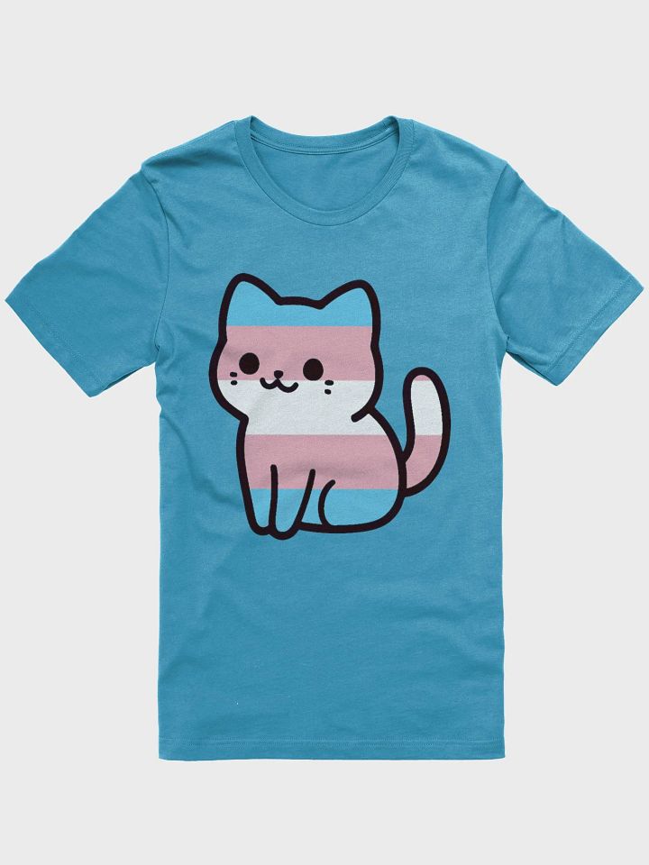 Transgender Pride Kitty Woman's Shirt product image (4)
