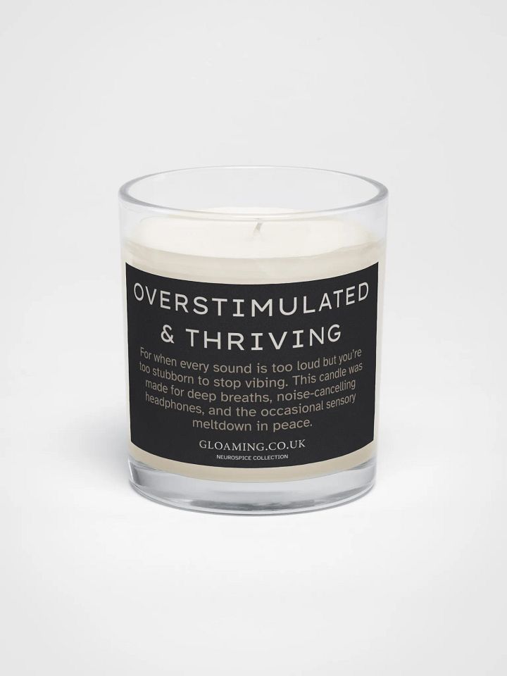 Neurospice: Overstimulated & Thriving product image (1)