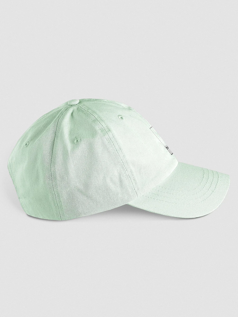 Mint CMYK Hat product image (4)