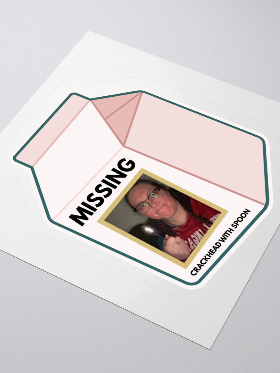 Missing Milk Carton Stickers product image (9)