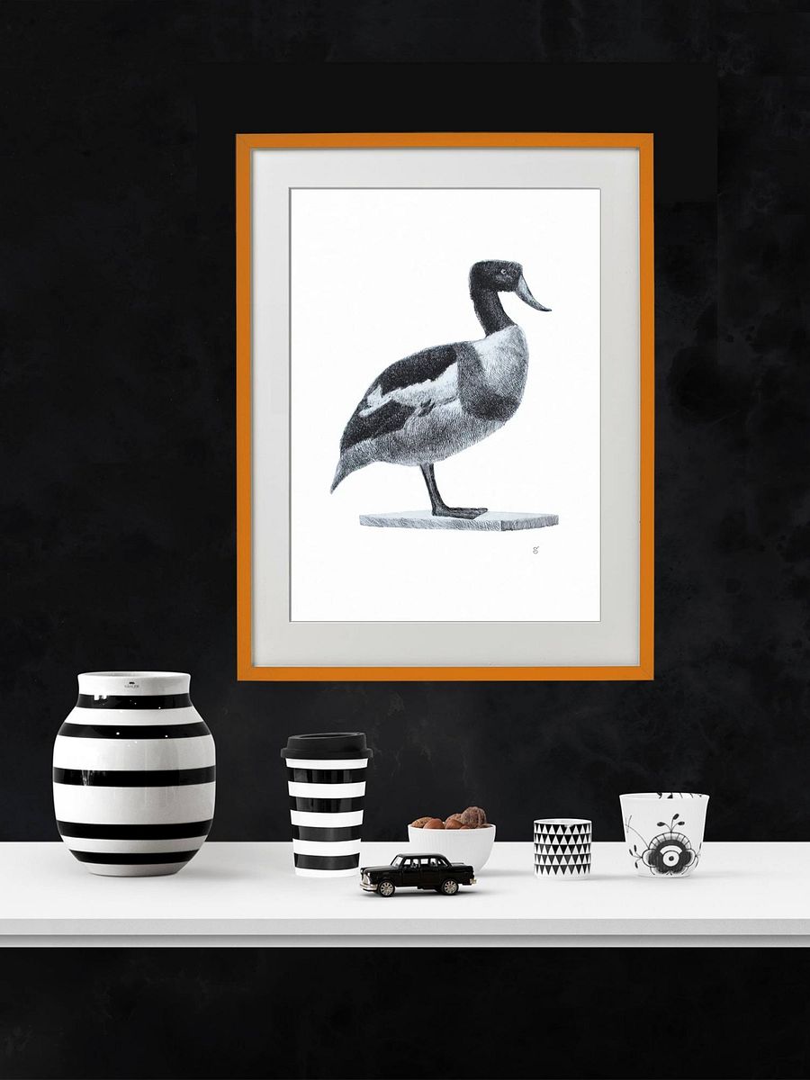 Majestic Bird Illustration Poster - Duck product image (6)