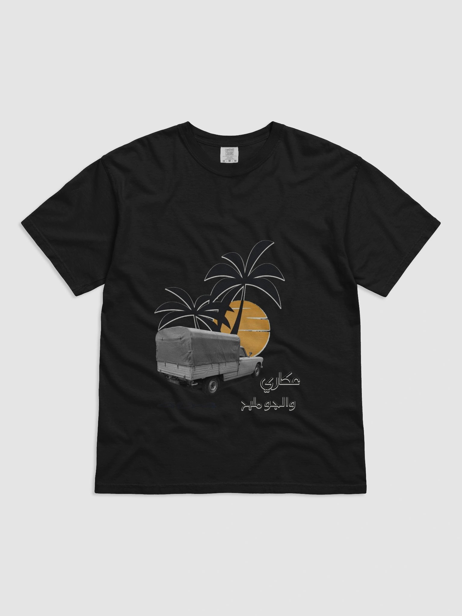 PEUGEOT 404 libyan oldes product image (2)