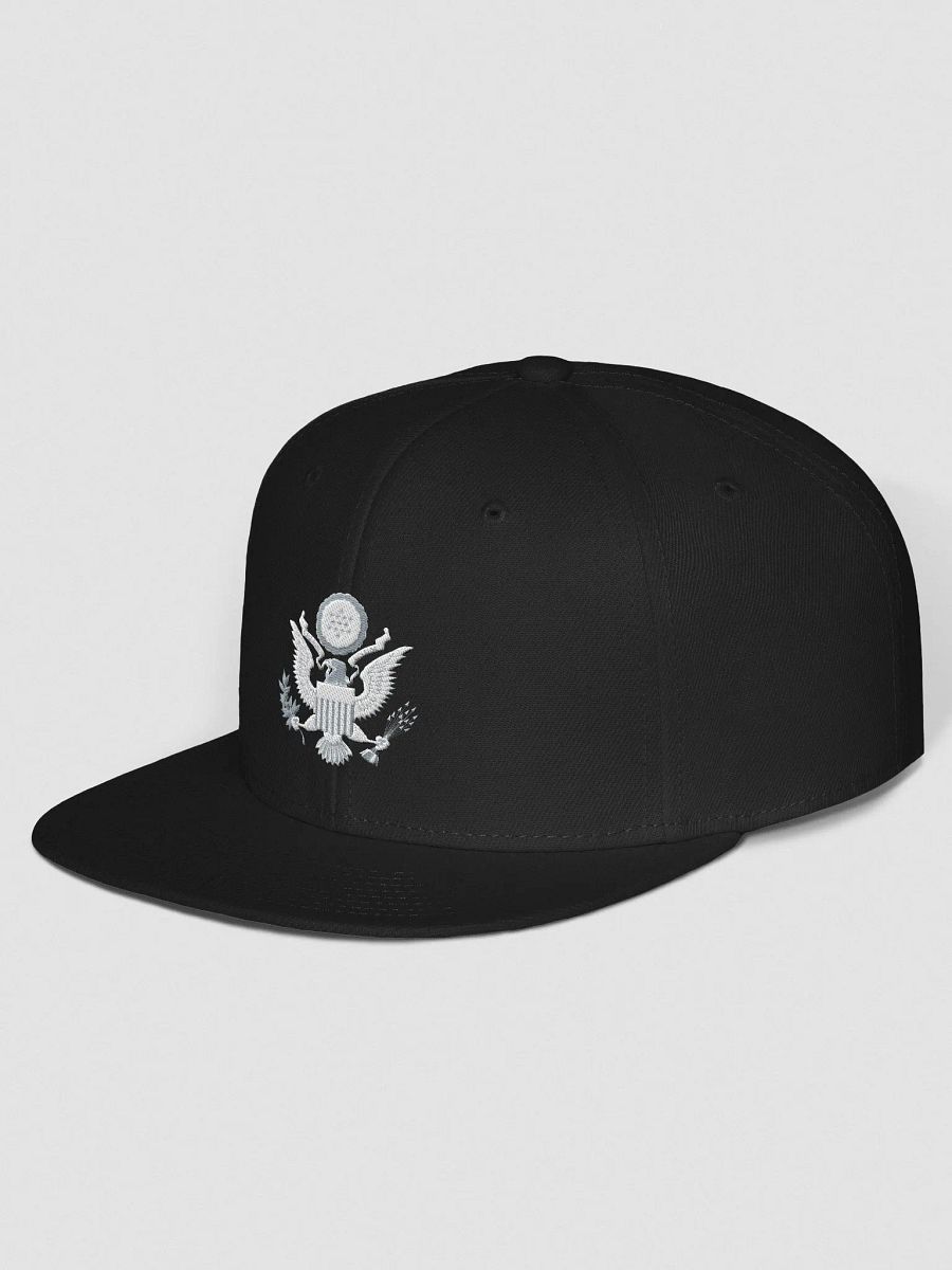 USA Cap product image (3)