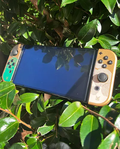 Yahaha! You found my switch! 🌱

I’ve been meaning to post this since TotK release day and haven’t had the chance. I basically...