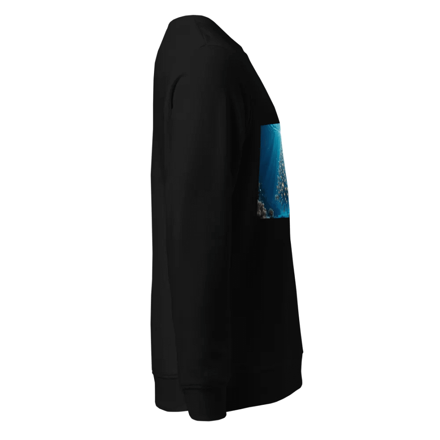 Aqua Christmas Magic Organic Sweatshirt product image (4)