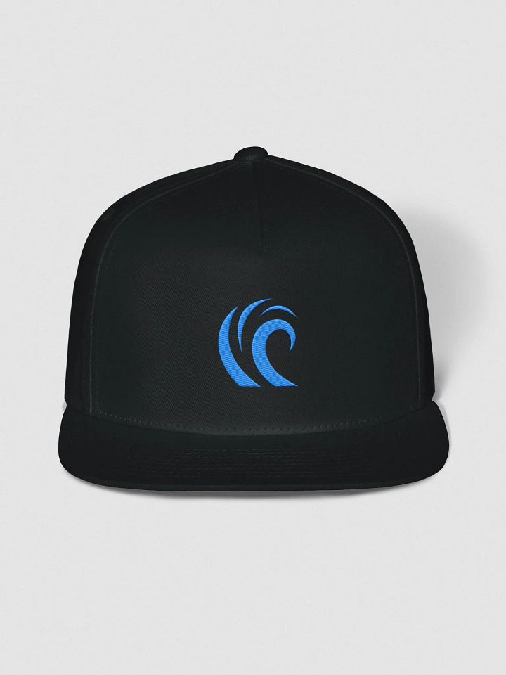 Diffraction Logo Snapback product image (1)