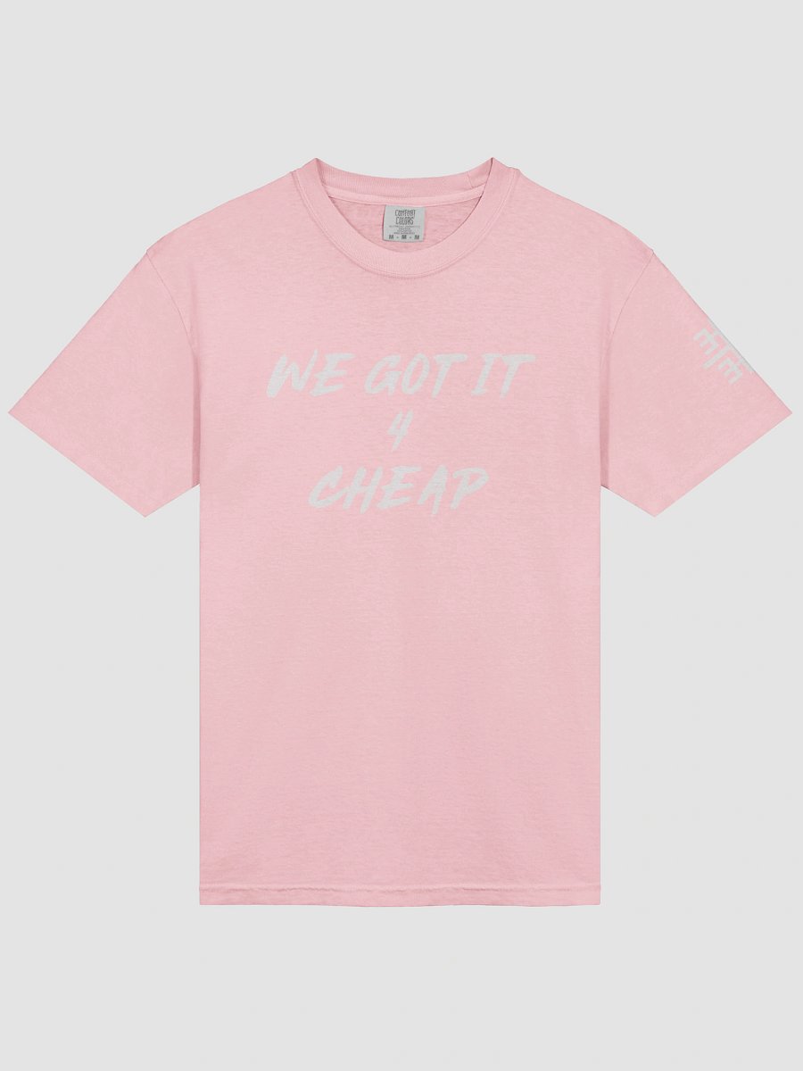 We got it for cheap - Entropy T-Shirt product image (3)