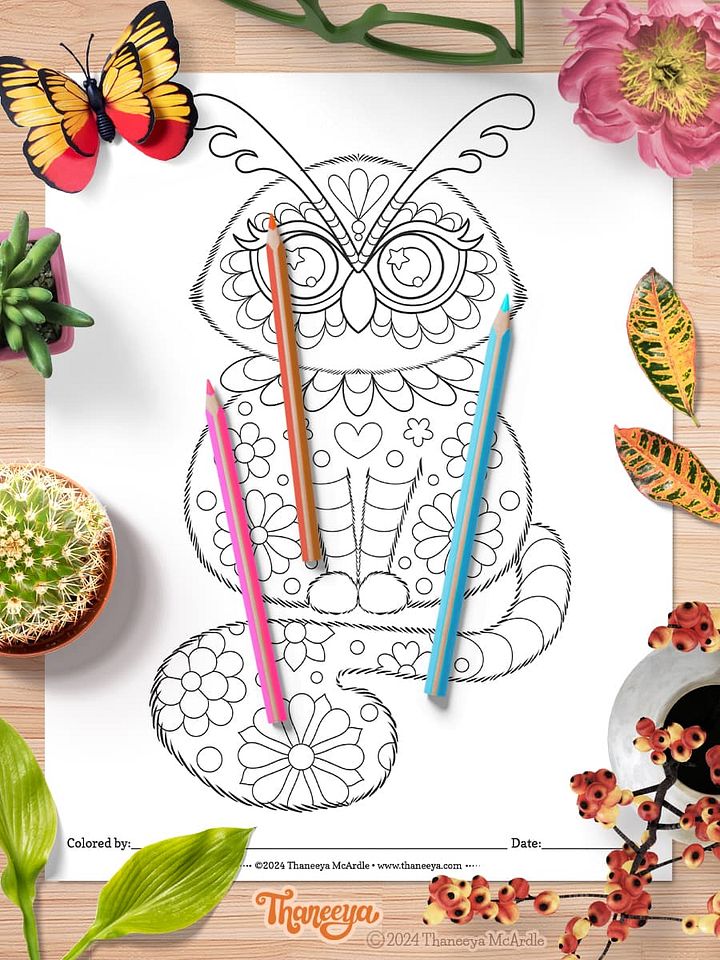 Owl-Cat - Single Coloring Page product image (1)