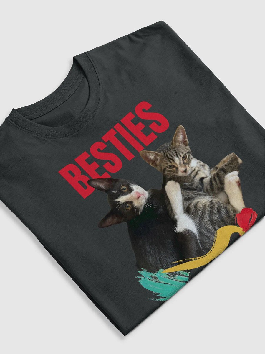 Besties Embrace Men's Tee product image (5)