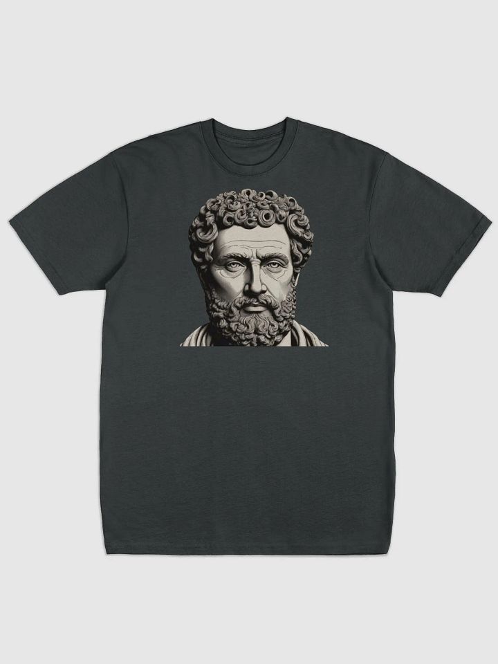 t-shirt stoic product image (1)