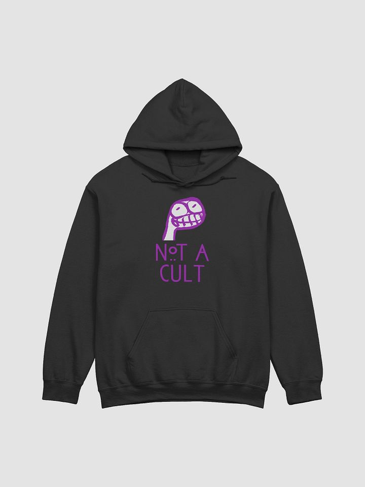 Not a Cult Hoodie product image (2)