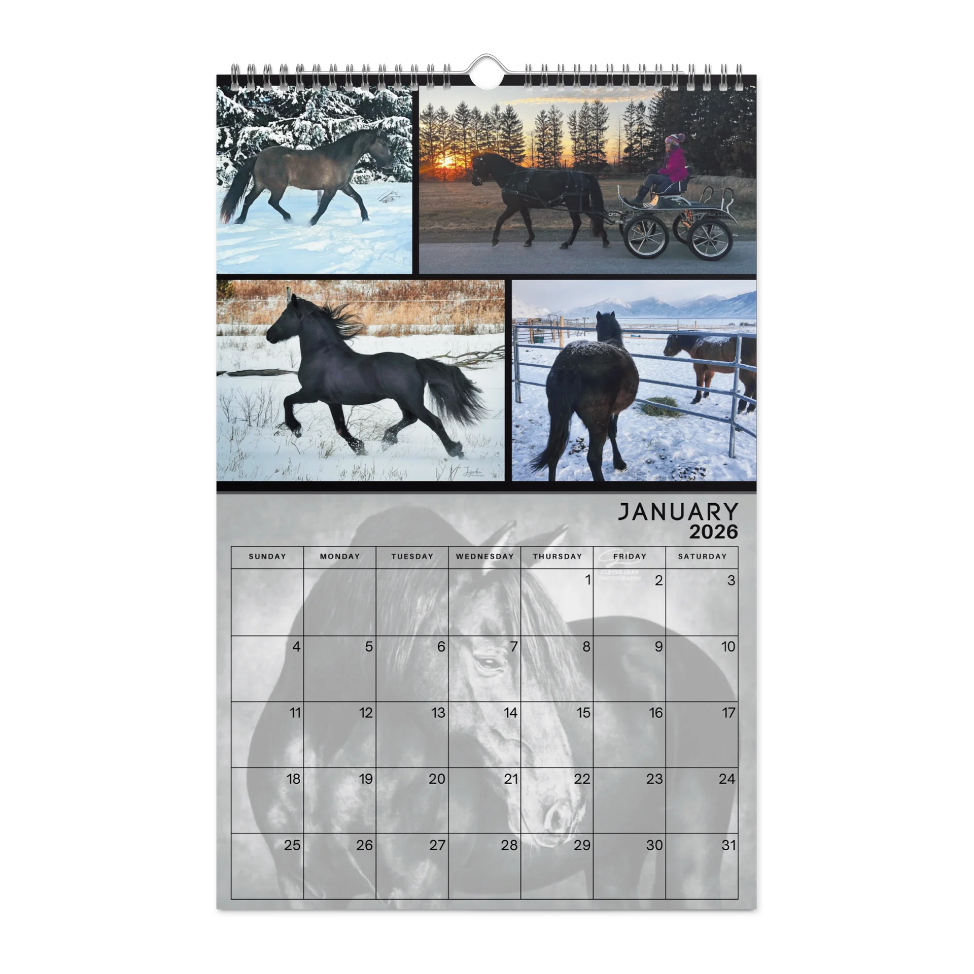 2026 Moriesian Horse Registry Calendar product image (6)