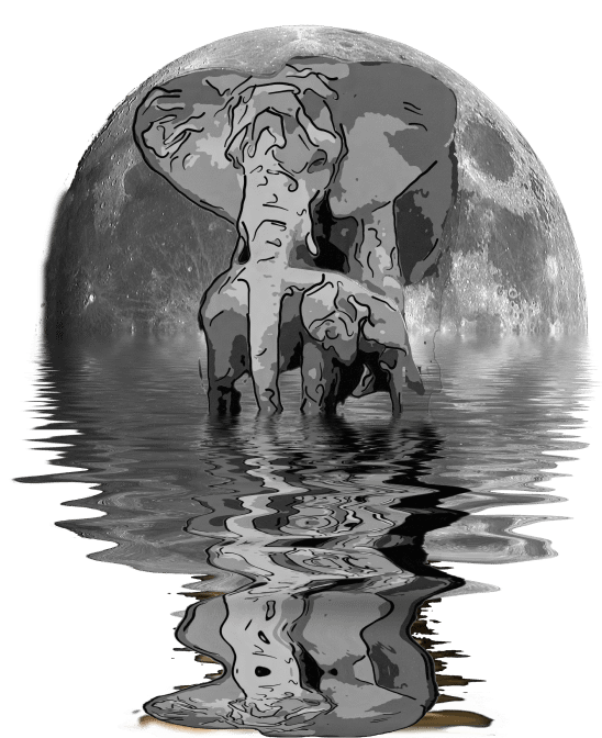 Elephant and Calf on Moon Background Digital Product product image (1)