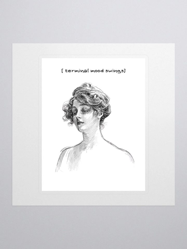 Terminal mood swings product image (3)
