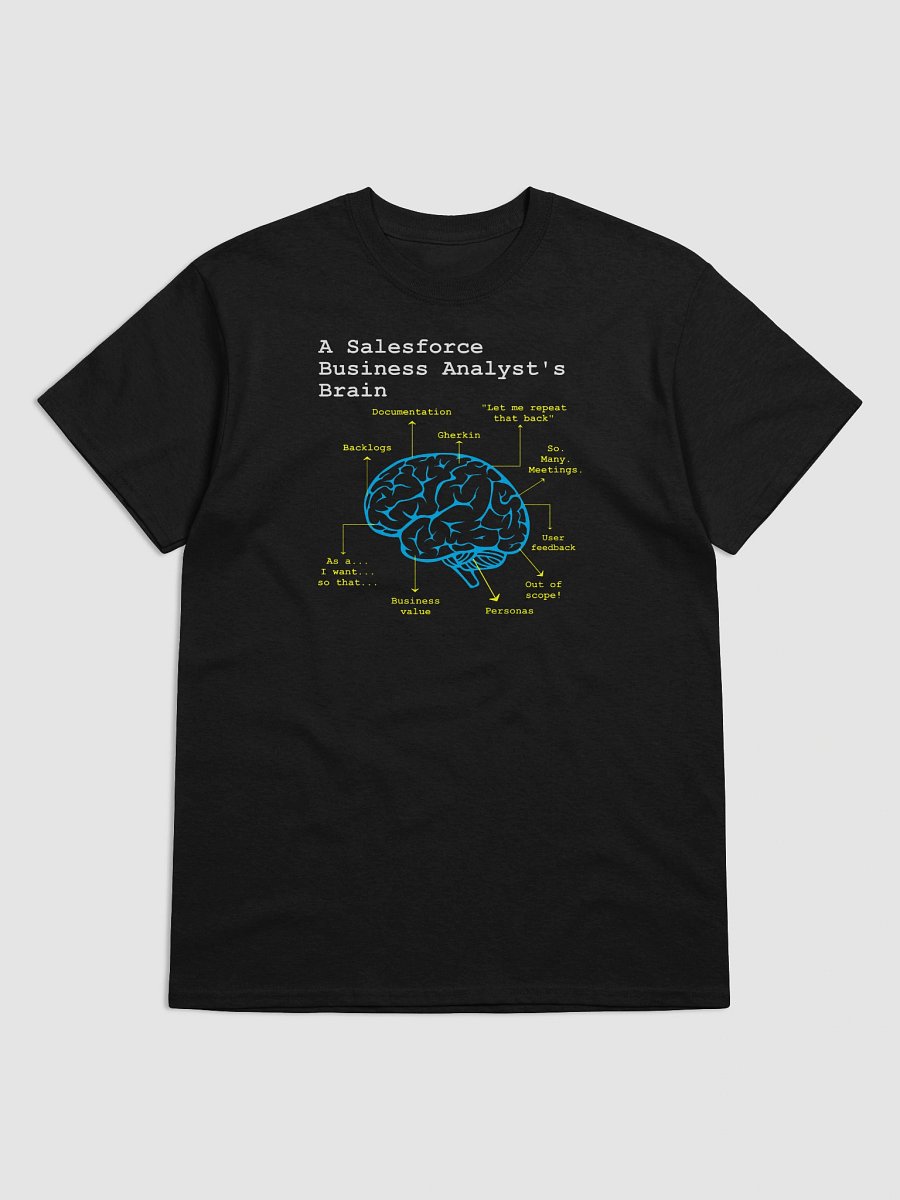 A Salesforce BA’s Brain product image (1)