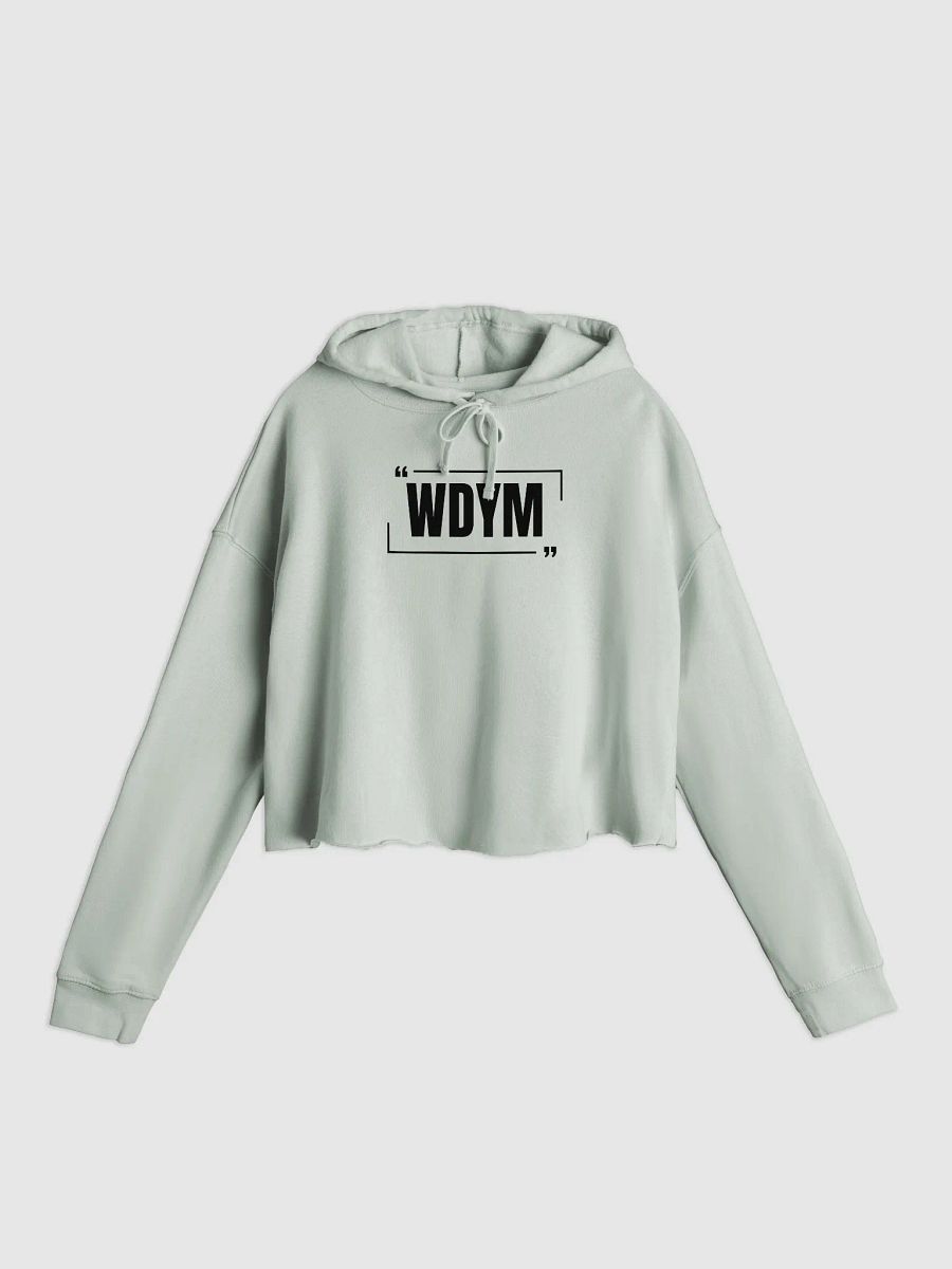 WDYM Speech Women's Crop Hoodie product image (2)