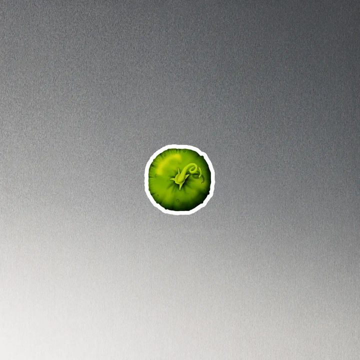 Pickle Butt Magnet product image (4)
