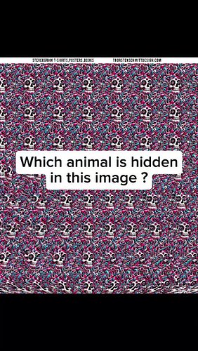Comment what you see ❤
#opticalillusion #stereogram #quiz #animals #asmr #magic #art