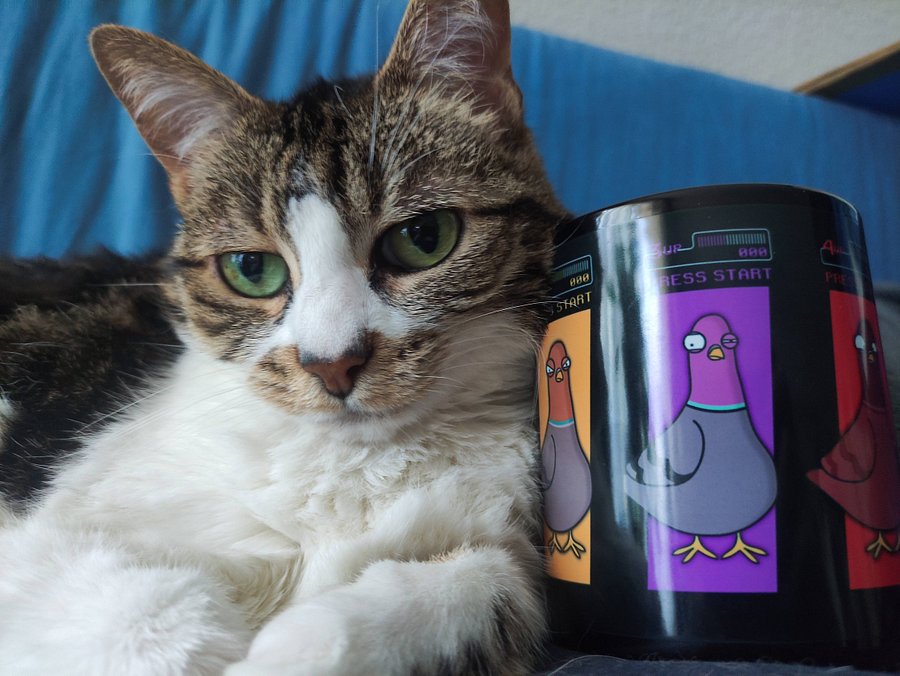 Pigeon Select Mug product image (4)
