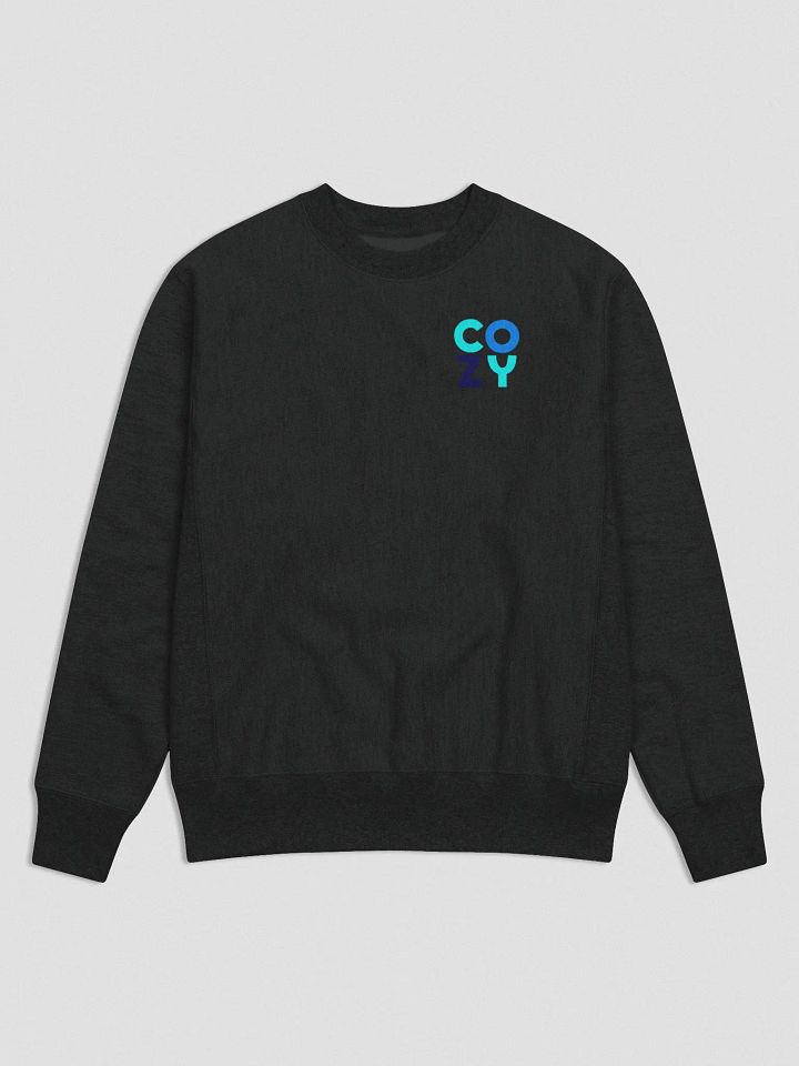 Crewneck Champion Sweater product image (1)