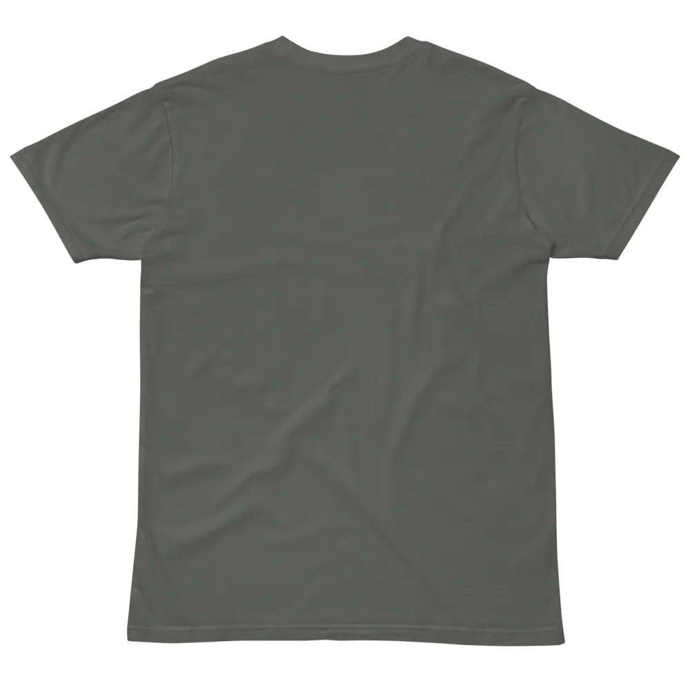 Flatbush Little Caribbean Gray Tee Sadie product image (11)