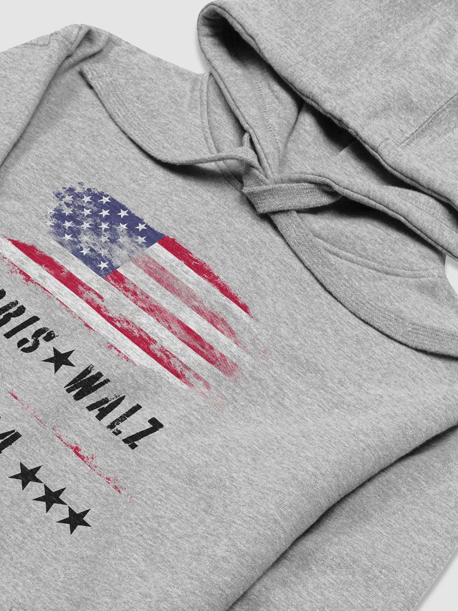 Harris-Walz Leadership Hoodie product image (30)