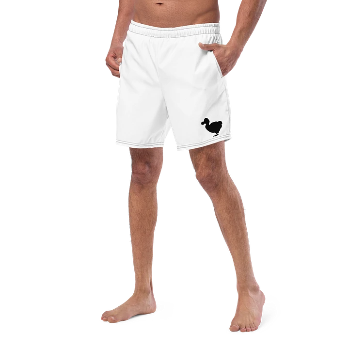Dodo Swim suit product image (2)