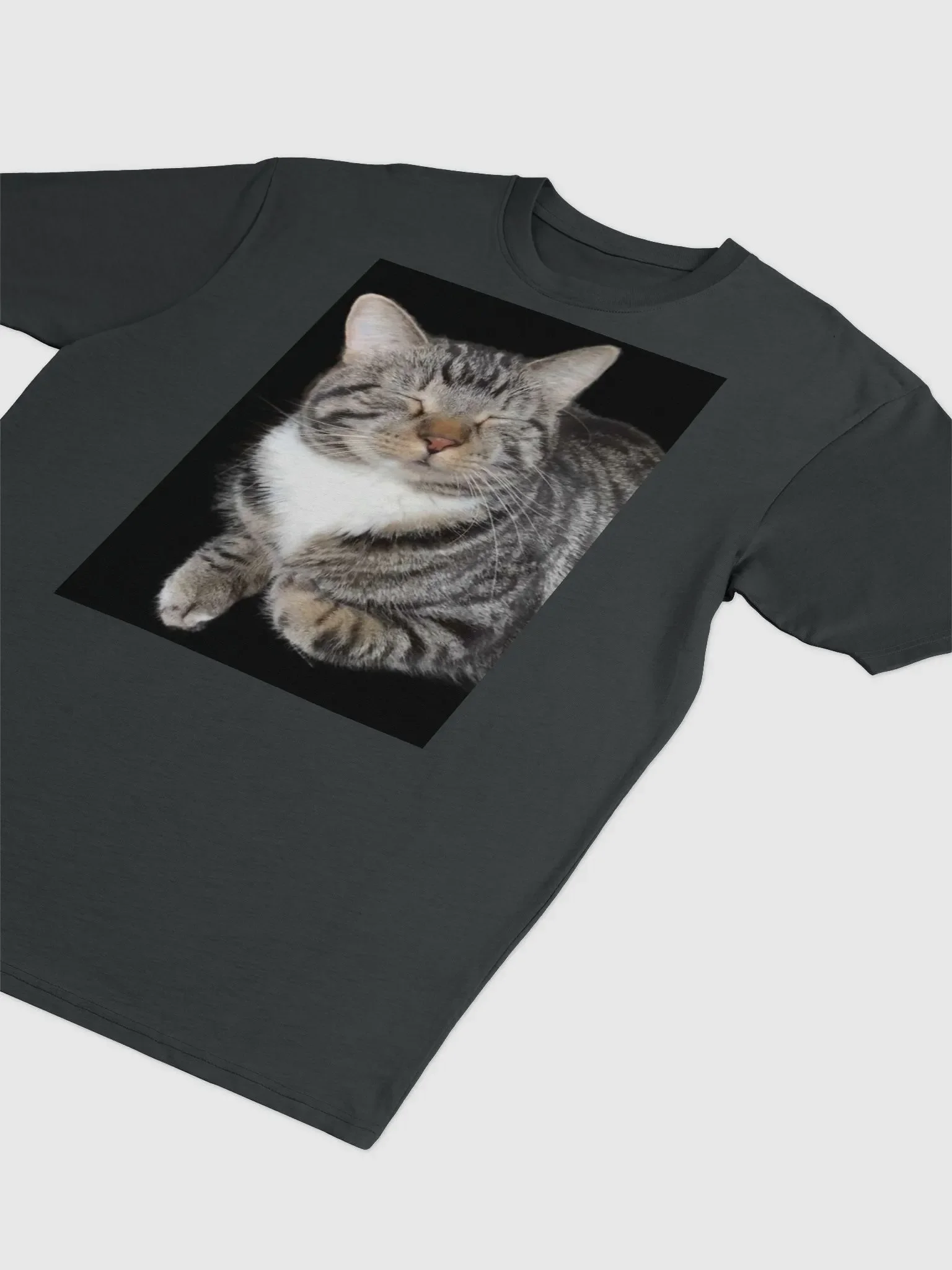 Scooter Cat product image (3)