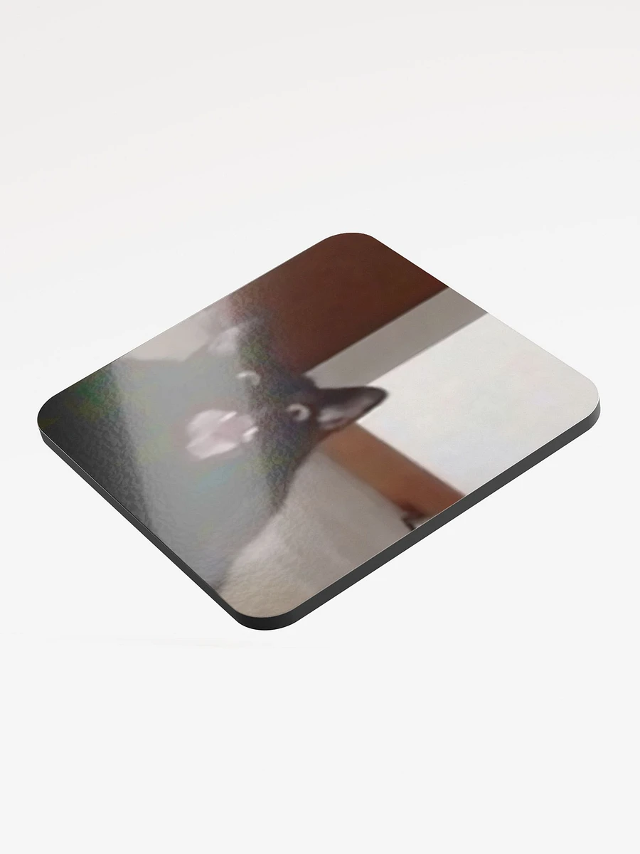 Glossed Cork Coaster: Meme Cats product image (3)