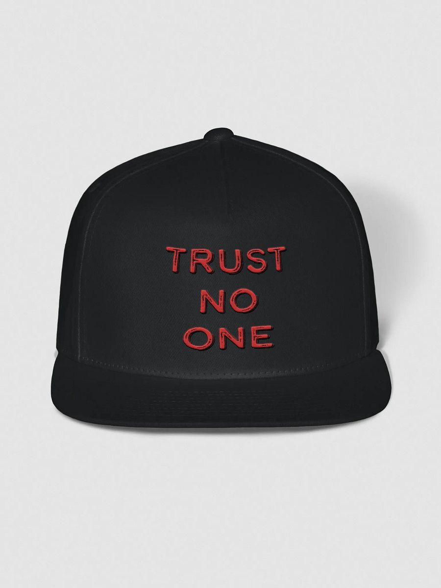 Trust No One Snapback Cap product image (1)