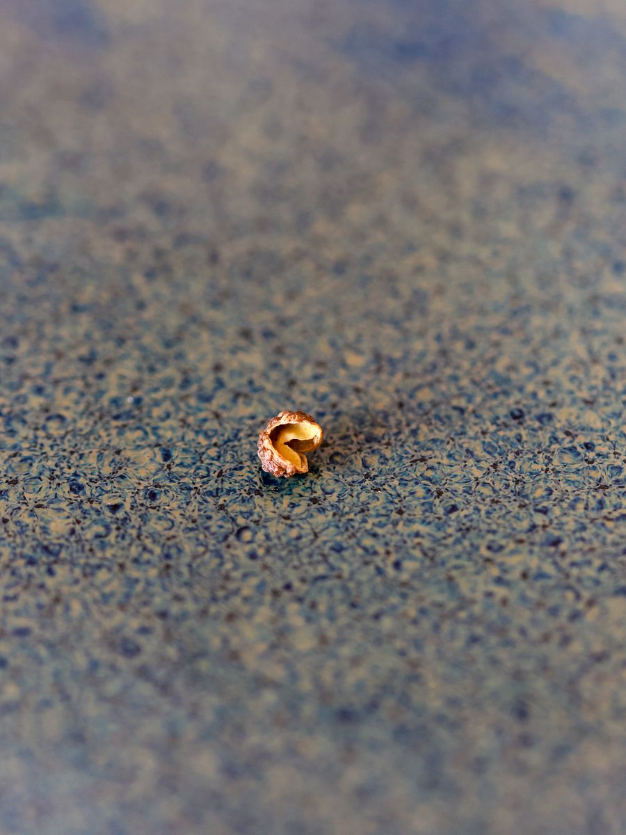 Poivre de Sichuan Vert - Sachet de 100g product image (3)