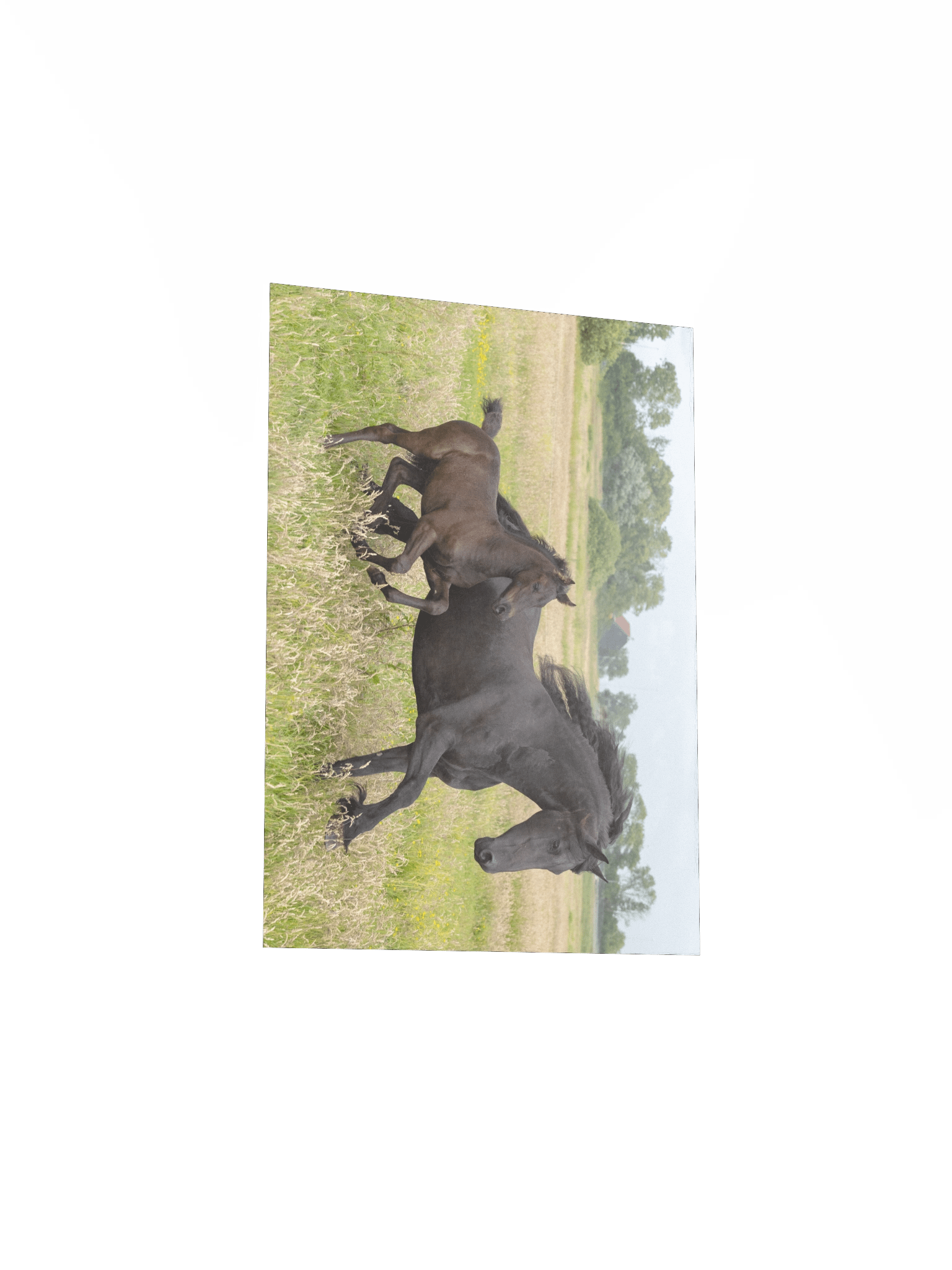 Saly & Elvis running product image (4)