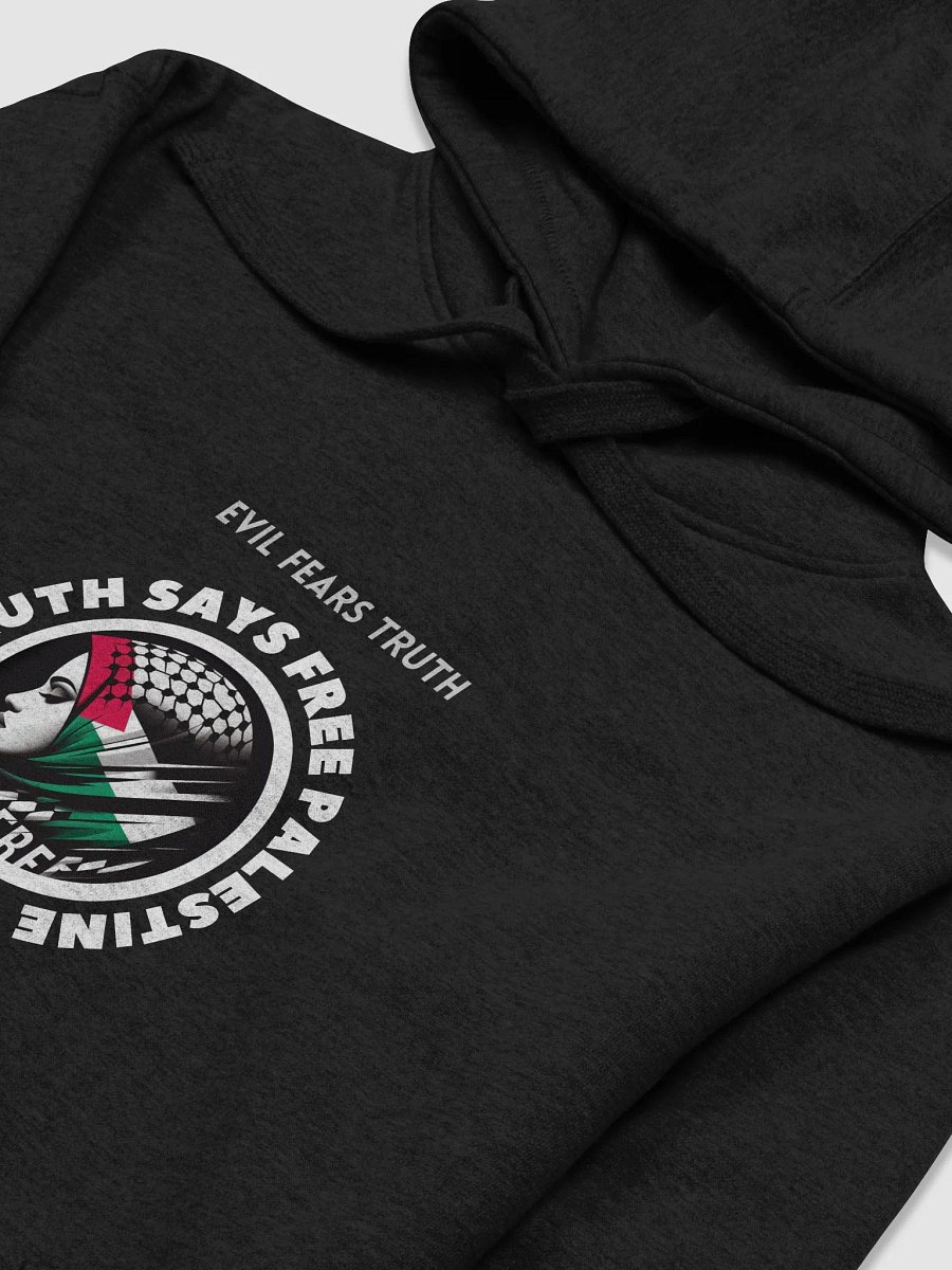 Free Palestine Unisex Hoodie | Evil fears truth, and truth says: Free Palestine. product image (29)