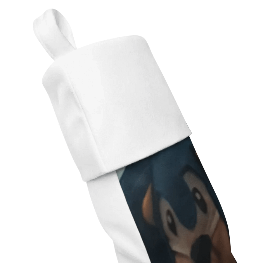 Sonic Socking product image (11)