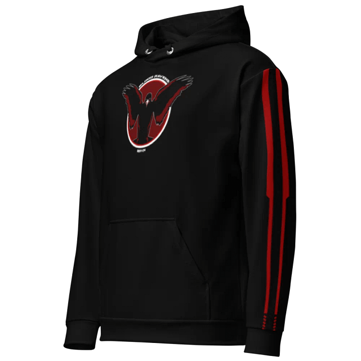 BLOOD RAVENS HOODIE product image (2)